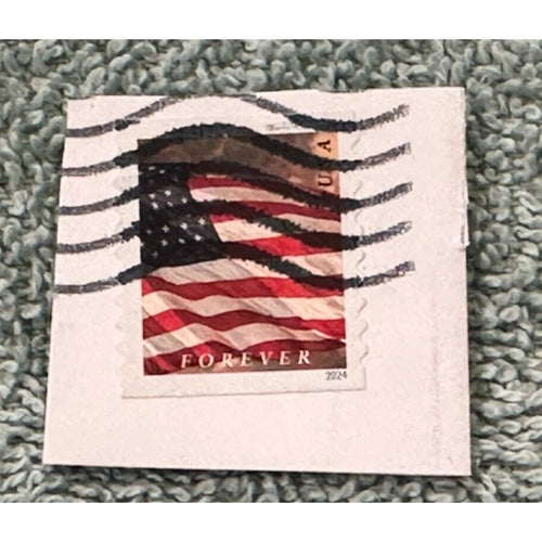 Stamp, USA, FOREVER, 2024, Used Stamp For Collectors