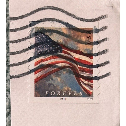 Stamp, USA, FOREVER, 2024, Used Stamp For Collectors, Our# 829-11625