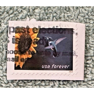 USA Stamp, forever USA, 2024, Beautiful Sunbeam Humming Bird