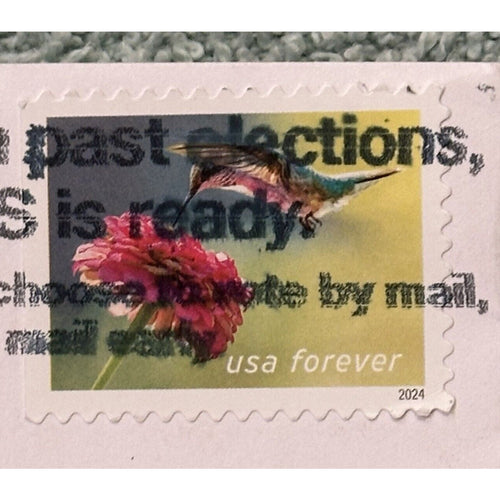 USA Stamp, forever USA, 2024, Beautiful Sunbeam Humming Bird, Our# 838-11625