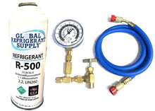R500, 12 oz. Refrigerant, Professional Check & Charge-It Kit