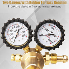 Nitrogen ProfessionalTire Filling Kit, 20 Cu. Full Professional Regulator & Hose